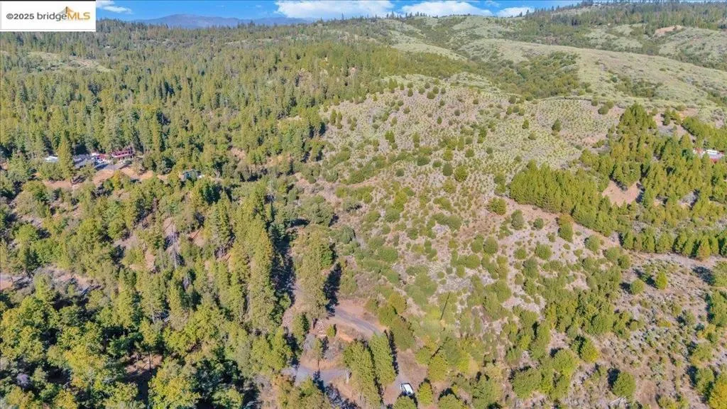 0000 Jackass Creek Rd, Groveland, California 95321 — photo 4