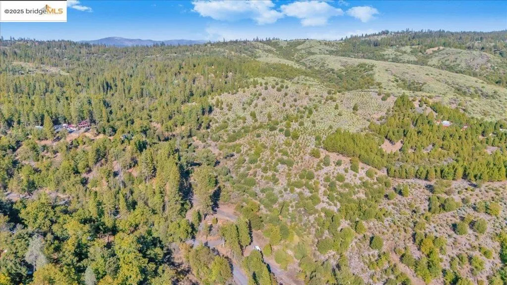 0000 Jackass Creek Rd, Groveland, California 95321 — photo 5