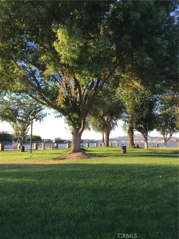 Beach area is tree covered and so green!
