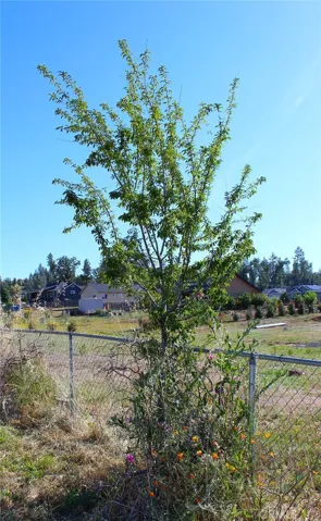6222 Wall, Paradise, California 95969