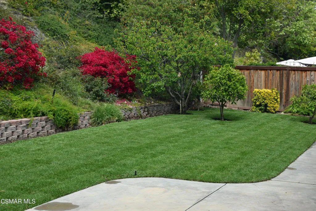 Rear yard 2