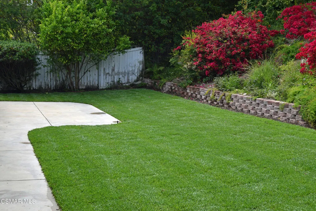 Rear Yard 1