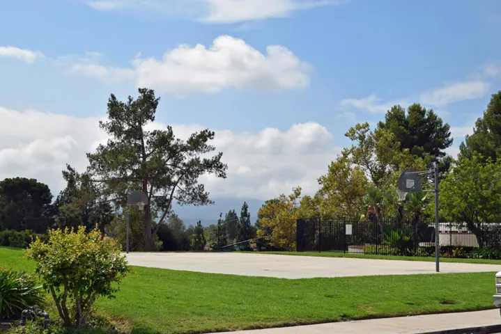 Neighborhood Basketball Court