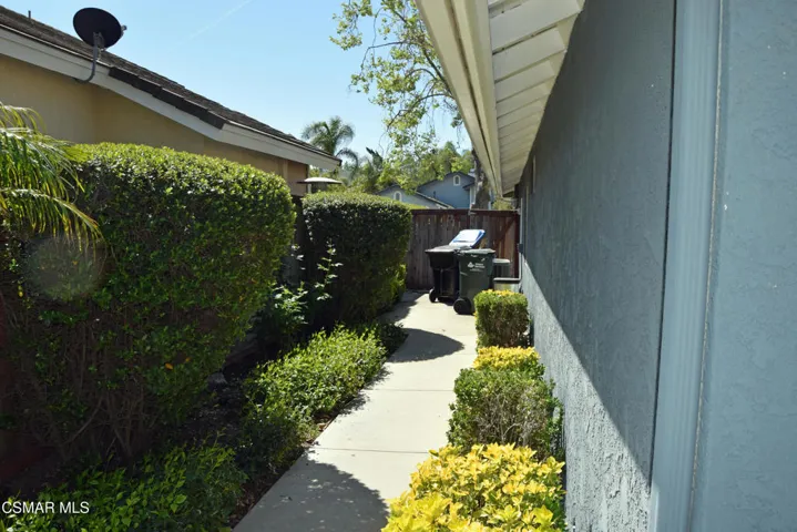 Side Yard