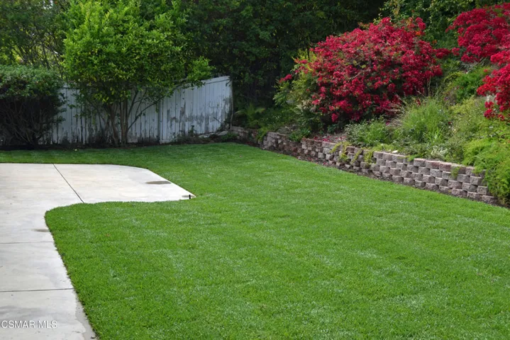 Rear Yard 1