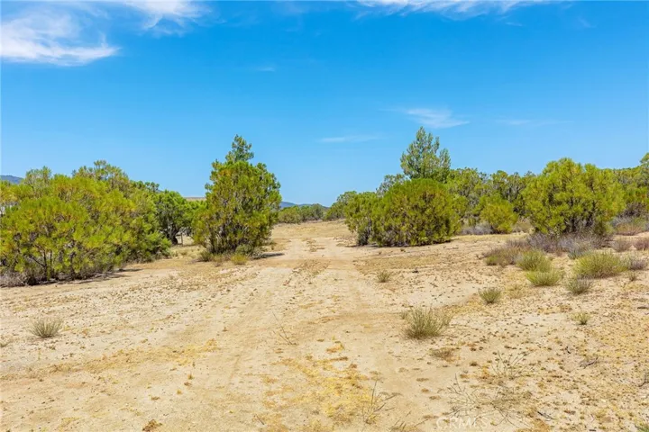37761 Aurora, Anza, California 92539