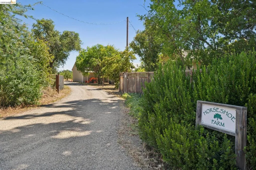 Gravel driveway entry featuring mature trees, established hedges, and a property sign