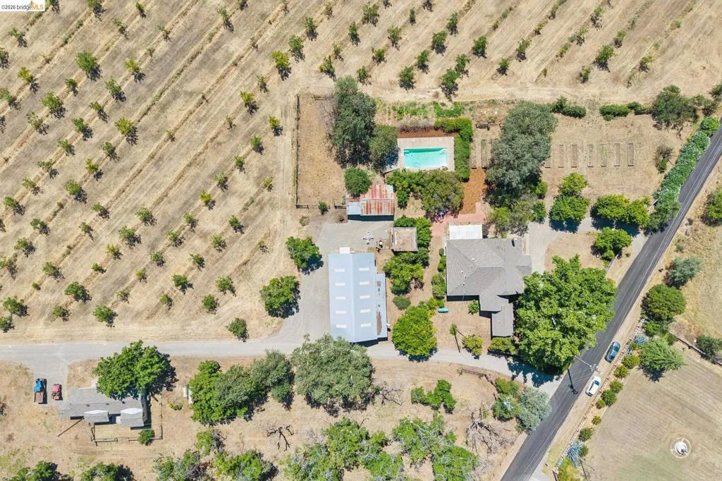 Aerial property view featuring an established orchard, a main residence with a gray shingle roof, a rectangular swimming pool, and multiple outbuildings