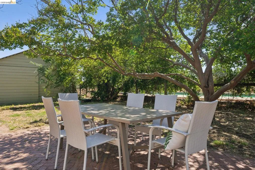 Mature tree providing shade over a brick paver patio