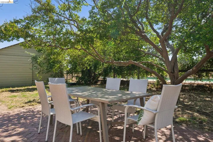 Mature tree providing shade over a brick paver patio