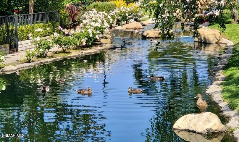 lake
