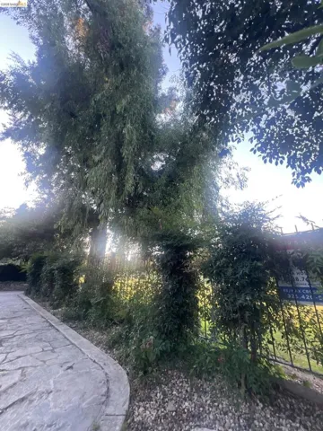 Stone pathway with gravel border, bordered by mature trees and lush foliage