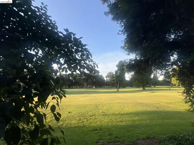 Expansive green space featuring a large grassy area and mature trees