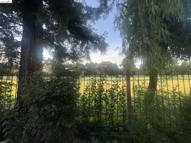 Expansive green space bordered by a classic black metal fence, mature trees, and lush perimeter foliage