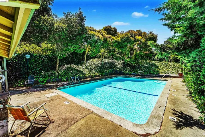 Rectangular swimming pool featuring a concrete surround and lush perimeter landscaping