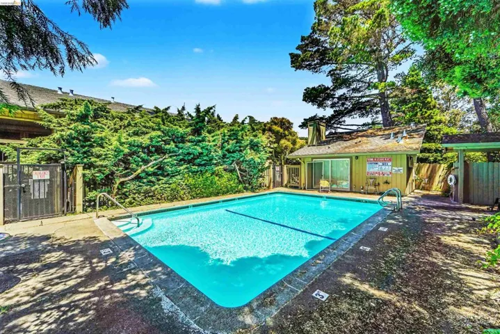Outdoor swimming pool with concrete decking, surrounding mature trees, and a dedicated pool house featuring a sliding glass door