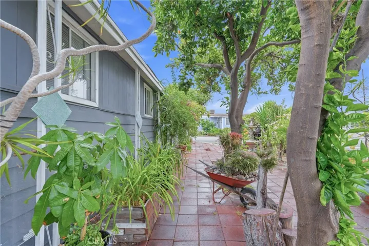 Side yard 3