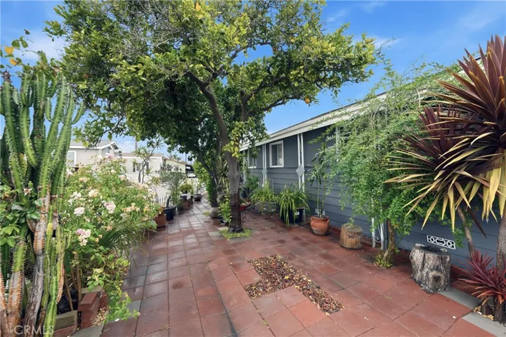 Side yard 2