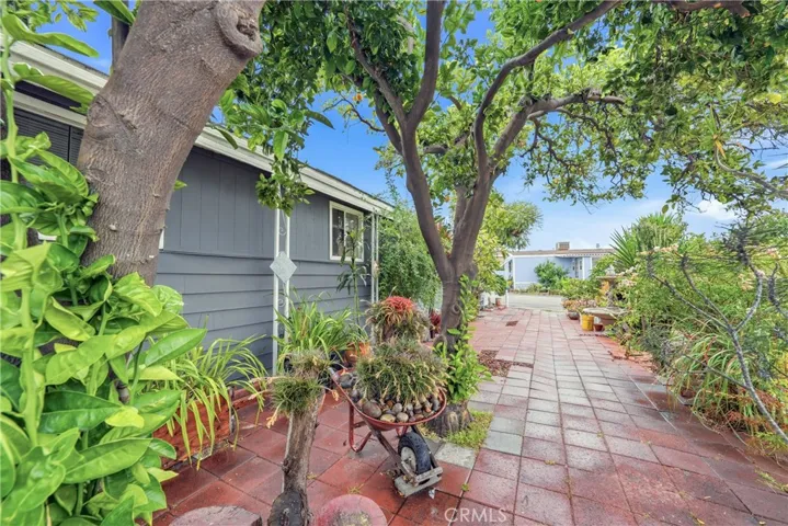 Side yard 4