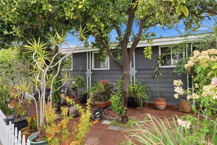 Side yard 6