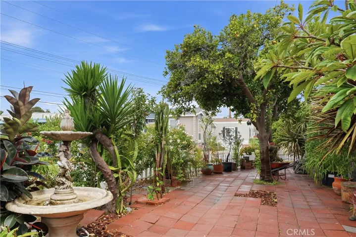 Side yard 5