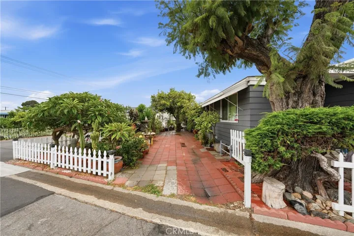 Side yard