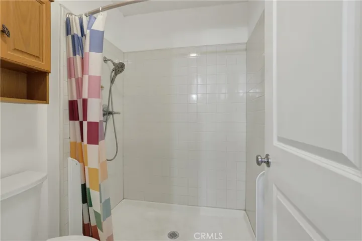 downstairs bathroom-shower