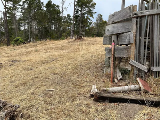 Property line stake at NE Corner where Ranch begins