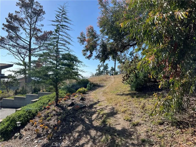Heading up the path to the Victoria Way trail