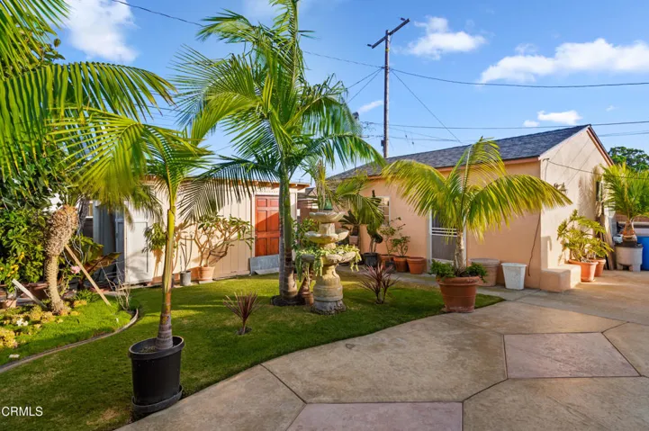 18-print-18 - Back Yard