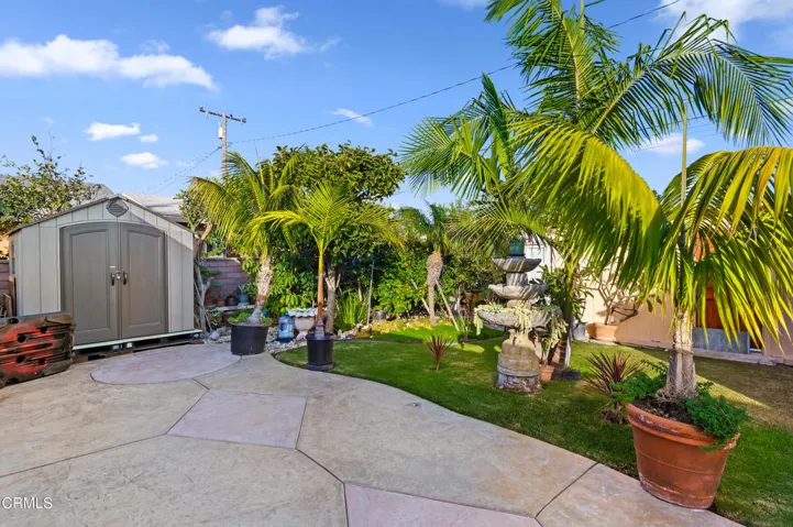 19-print-19 - Back Yard