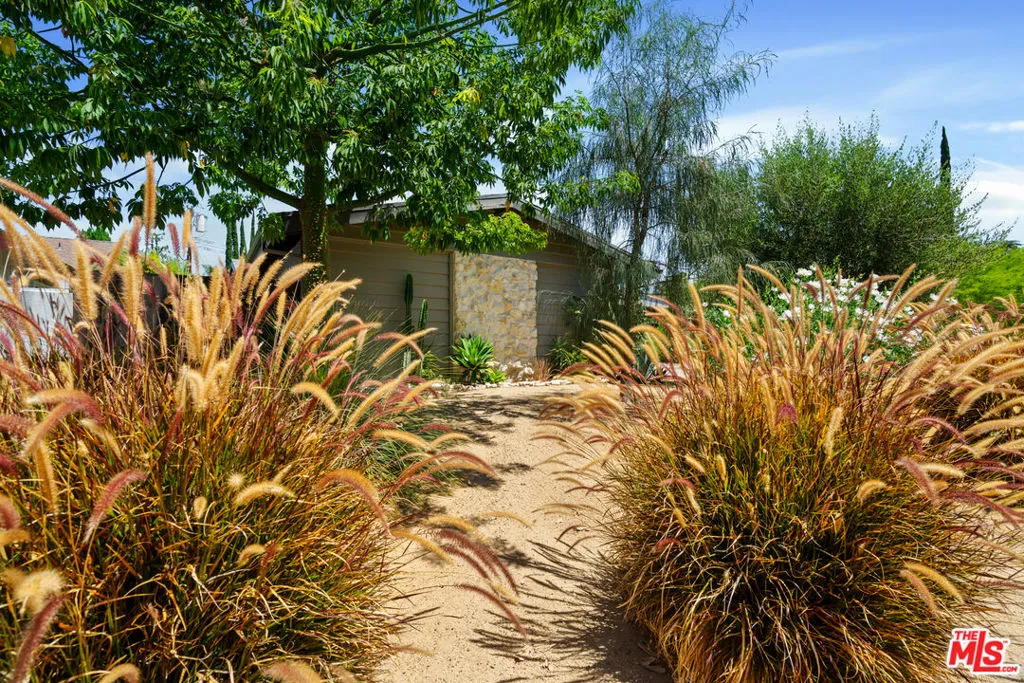 Front Yard