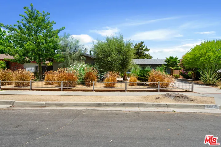 Front Shot