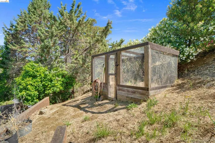 Freestanding greenhouse structure with wood-frame construction and transparent panels