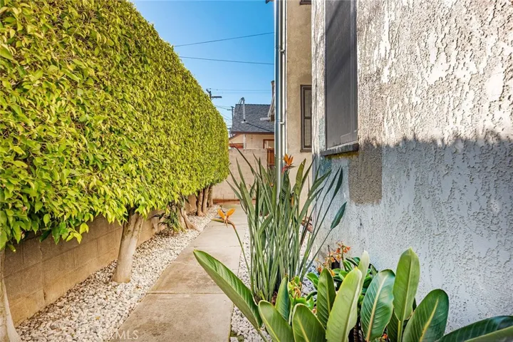 Side yard