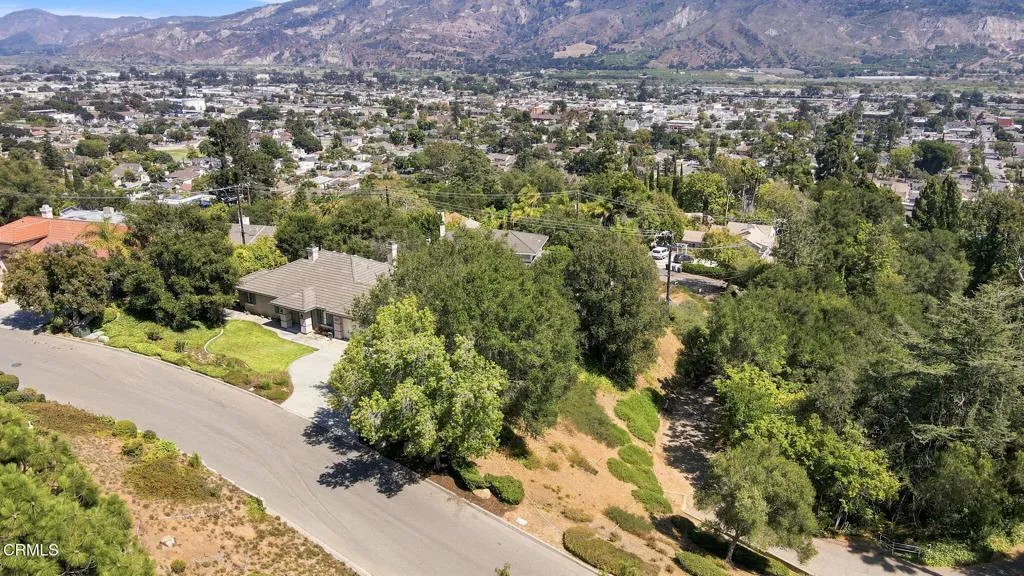 25-web-or-mls-DJI_0337