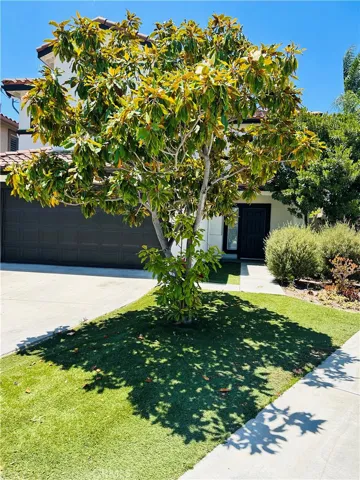 32561 Del Zura, San Juan Capistrano, California 92675