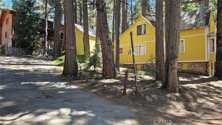 Driveway leading up to back of house