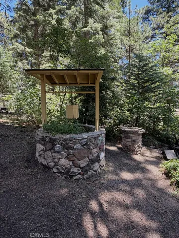 Wishing Well & Bird bath