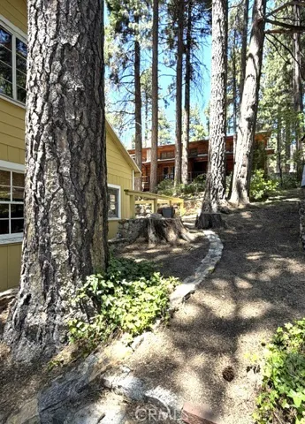 Other side of house
