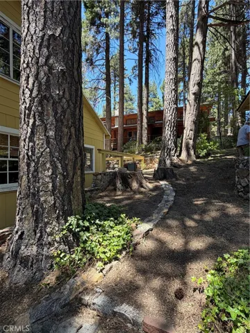 Front yard area