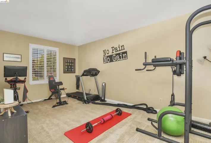 Spacious room featuring neutral carpeting, light beige wall paint, and a window with white louvered shutters