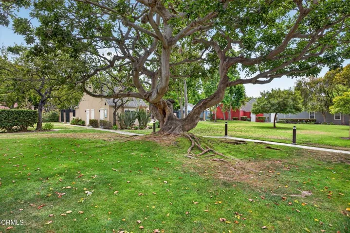 Beachside Gem - 2641 Captains Ave.