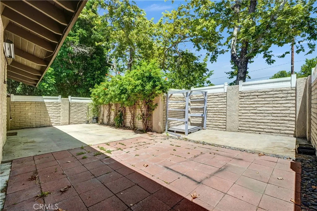 Back yard