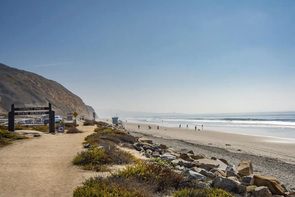 Torrey Pines State Beach