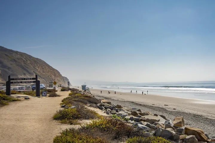 Torrey Pines State Beach