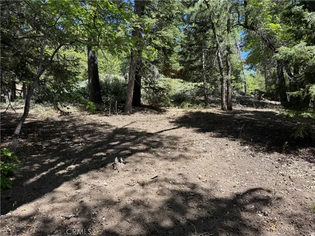 43466 Bow Canyon, Big Bear Lake, California 92315
