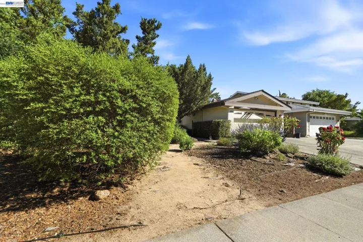 336 Encina Ave, Davis, California 95616