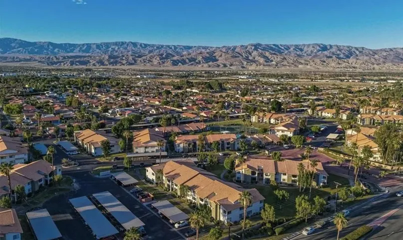 Aerial Saddleback