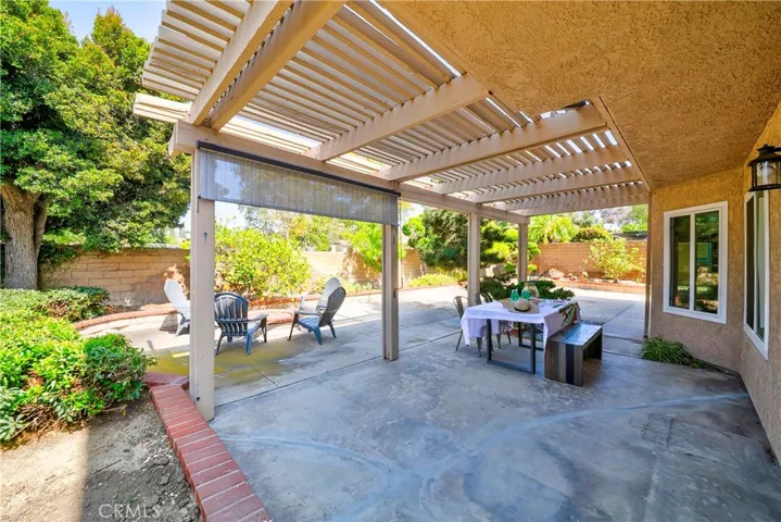 back yard